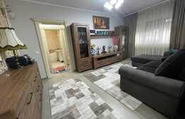 De vanzare 2 apartamente cu 2 camere, lux, mobilate si utilate, zona Freidorf, 85.000 euro fiecare