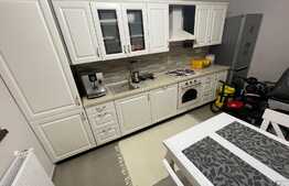 De vanzare 2 apartamente cu 2 camere, lux, mobilate si utilate, zona Freidorf, 85.000 euro fiecare