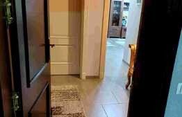 De vanzare 2 apartamente cu 2 camere, lux, mobilate si utilate, zona Freidorf, 85.000 euro fiecare