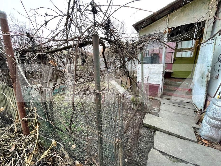 Casa de vânzare 2 camere Blascovici - 74811CV | BLITZ Timișoara | Poza3