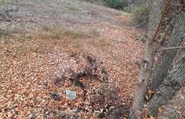 Ocazie unica, 2000 mp teren intravilan de vanzare plus casa in Timisoara, zona foarte buna!