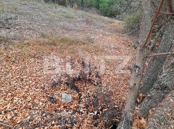 Casa de vânzare 3 camere  - 74823CV | BLITZ Timișoara | Poza3