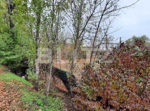 Casa de vânzare 3 camere  - 74823CV | BLITZ Timișoara | Poza2