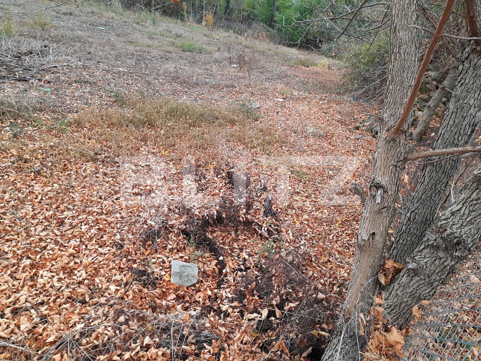 Casa de vânzare 3 camere  - 74823CV | BLITZ Timișoara | Poza3