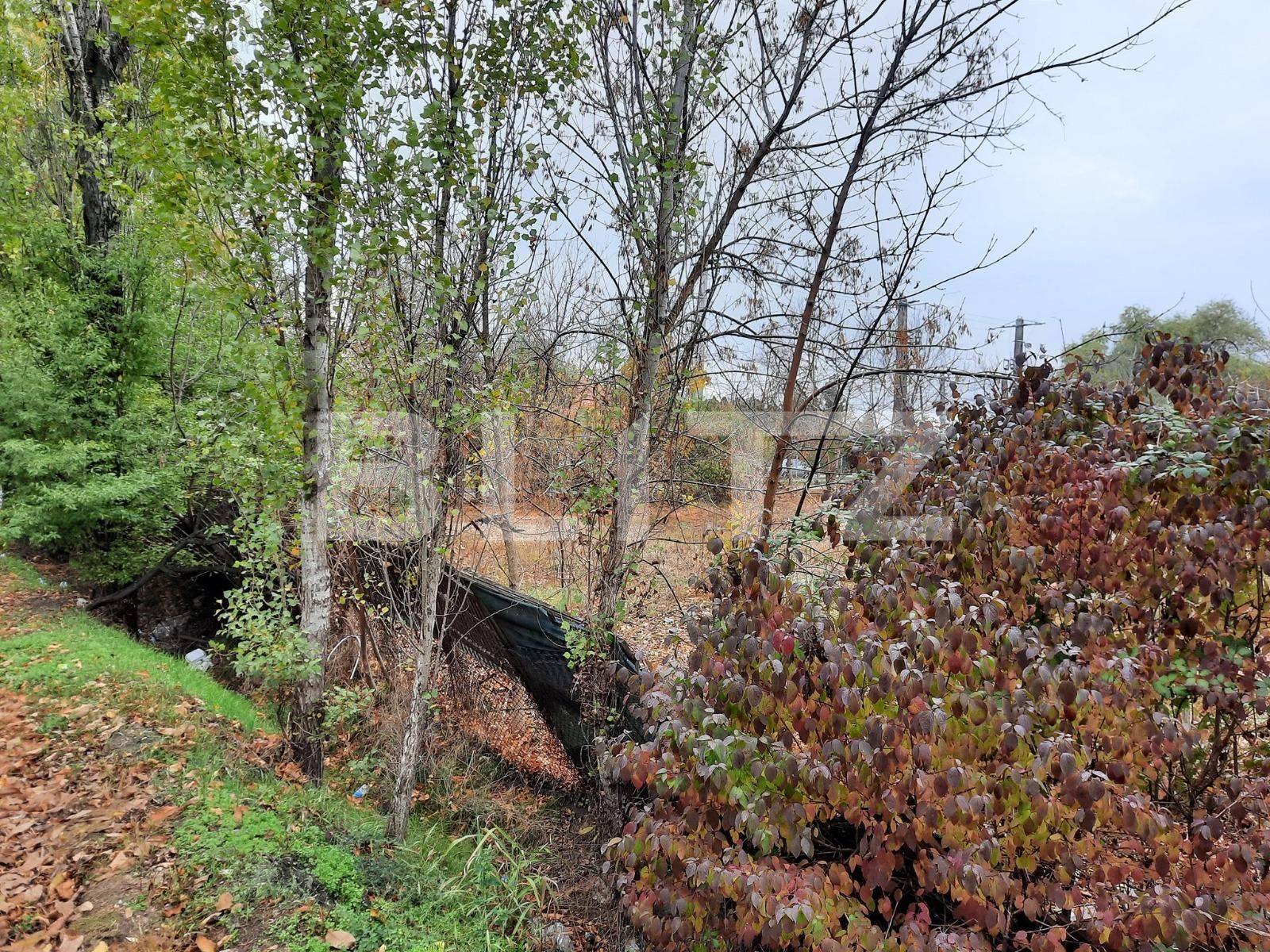 Casa de vânzare 3 camere  - 74823CV | BLITZ Timișoara | Poza2