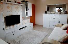 Apartament 2 camere zona Lipovei, 50m.p., finisaje de calitate