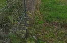 Teren cu suprafaţă de 932 mp în sat Ictar Budinţ