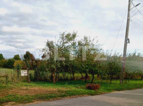 Teren de vânzare Exterior Est - 74916TV | BLITZ Timișoara | Poza1