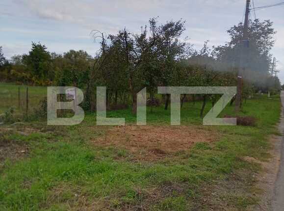 Teren de vânzare Exterior Est - 74916TV | BLITZ Timișoara | Poza2