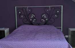 Casa individuala, 200 mp utili, teren 650 mp, intrare Mosnita Noua