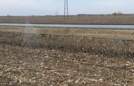 Teren extravilan de 8 ha în C. Șagului la viitoarea centură