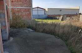 Casă unifamilială cu suprafață utilă de 350 mp și teren de 625 în Moșnița Nouă