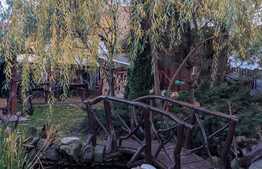 Casa individuala deosebita, 159 mp utili, teren 712 mp, Mosnita Noua