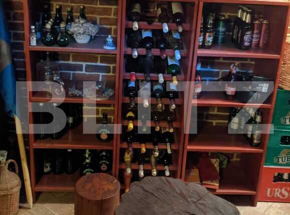 Casa de vânzare 5 camere Mosnita Noua - 75397CV | BLITZ Timișoara | Poza6