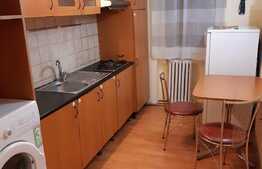 Apartament pet friendly de 2 camere, situat la parter in zona Elisabetin