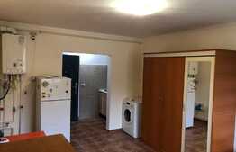 Garsoniera de inchiriat, 24 mp, etaj 3, zona Iosefin