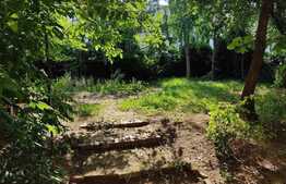 Apartament 2 camere zona Balcescu ce necesită a fi renovat, oportunitate de investiție