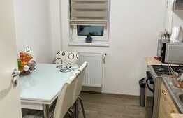 Apartament 2 camere, 55 mp, cartierul Florilor, zona Braytim