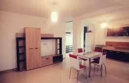 Apartament 2 camere, open space generos, zona Torontalului