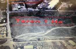 Teren intravilan 10.000 mp, front 44 ml, nu necesita PUZ!