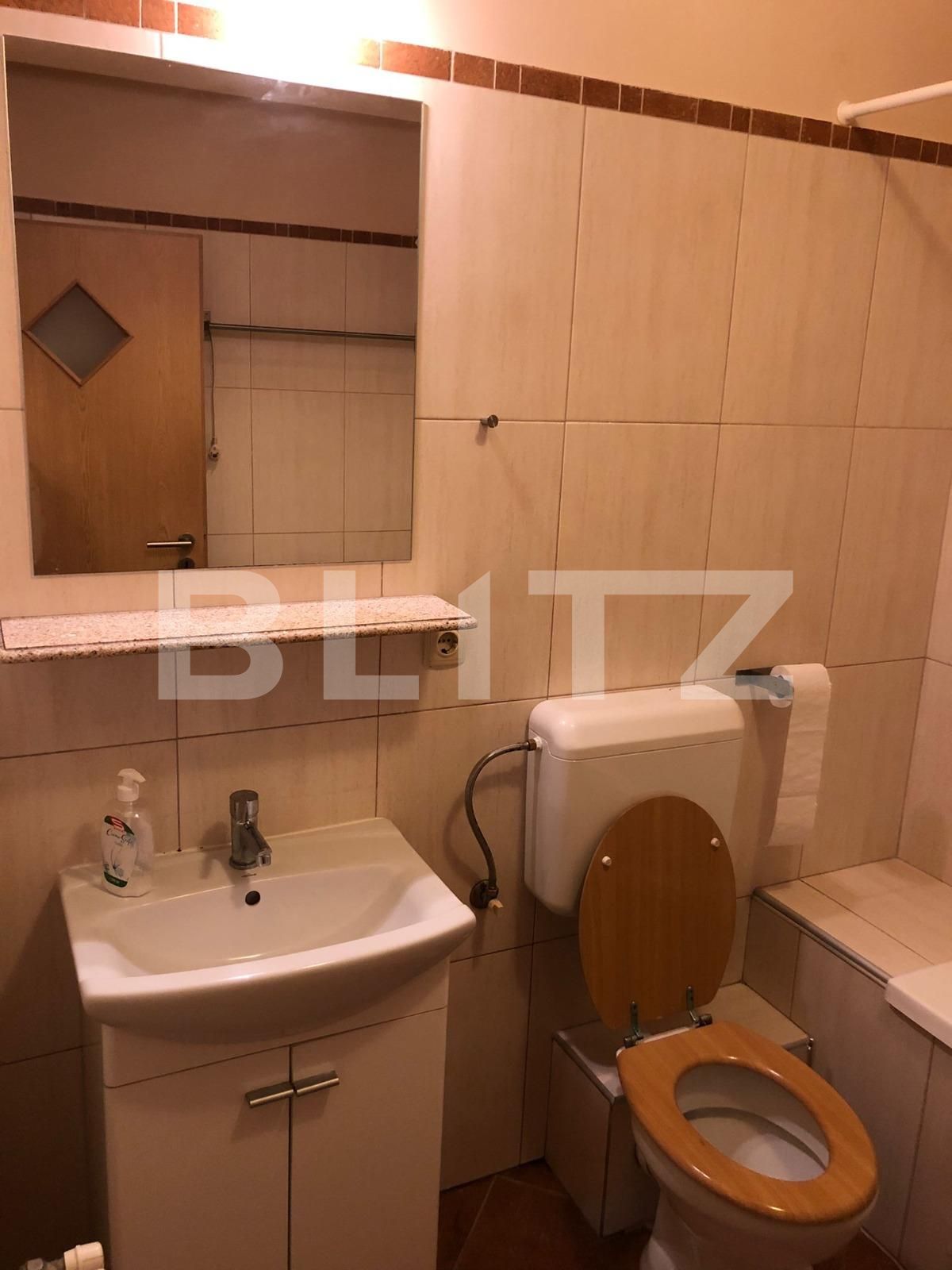 Apartament de închiriat 2 camere Braytim - 75722AI | BLITZ Timișoara | Poza9