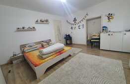 Apartament 3 camere la curte, 75 mp, zona Take Ionescu 