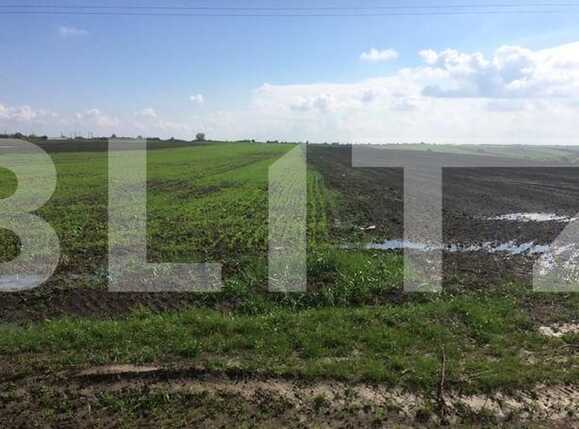 Teren de vânzare  - 75741TV | BLITZ Timișoara | Poza1