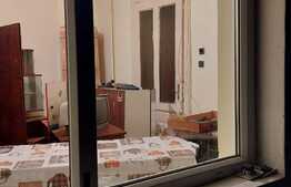 Casa la curte comuna, 67 mp utili, Timisoara