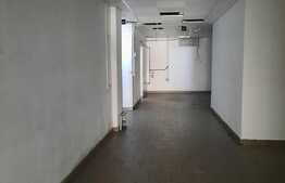 Ocazie rara, spatiu comercial cu vad de vanzare in Mosnita Noua!