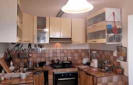 Apartament 3 camere la casă renovată, 100 mp, zona liniștită în zona Iosefin