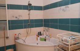 Apartament 3 camere la casă renovată, 100 mp, zona liniștită în zona Iosefin