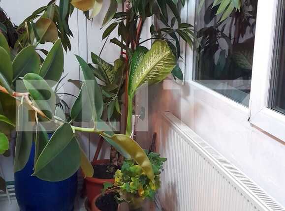 Apartament de vânzare 3 camere Spitalul Judetean - 75909AV | BLITZ Timișoara | Poza5