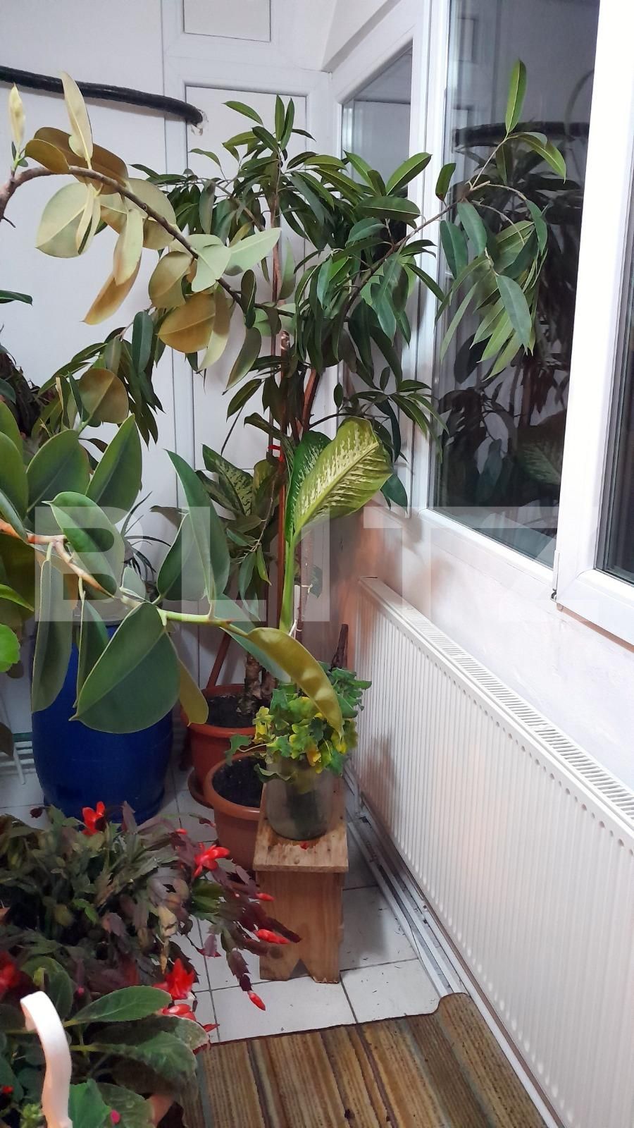 Apartament de vânzare 3 camere Spitalul Judetean - 75909AV | BLITZ Timișoara | Poza5