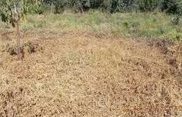 Ocazie, 1300 mp parcela intravilan, Mehala-Timisoara