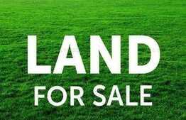 Ocazie, 1300 mp parcela intravilan, Mehala-Timisoara