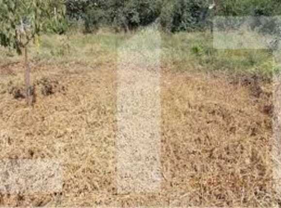 Teren de vânzare Mehala - 75915TV | BLITZ Timișoara | Poza1