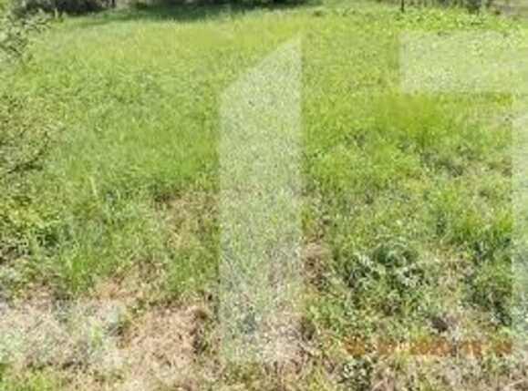 Teren de vânzare Mehala - 75915TV | BLITZ Timișoara | Poza2