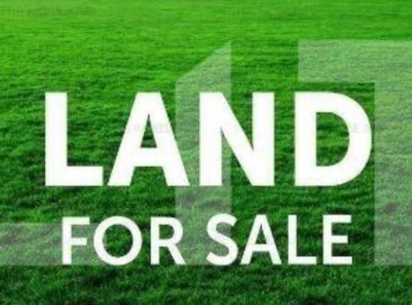 Teren de vânzare Mehala - 75915TV | BLITZ Timișoara | Poza5