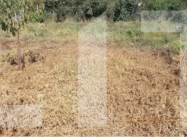 Teren de vânzare Mehala - 75915TV | BLITZ Timișoara | Poza1