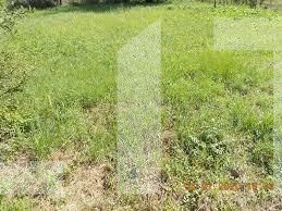 Teren de vânzare Mehala - 75915TV | BLITZ Timișoara | Poza2