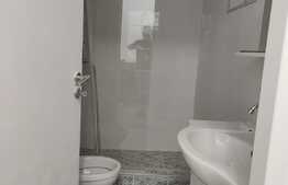 Inchiriez casa cocheta, recent renovata cu 3 camere, zona Dumbravita