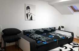 Apartament cochet, 2 camere, 48 mp, decomandat, zona Girocului