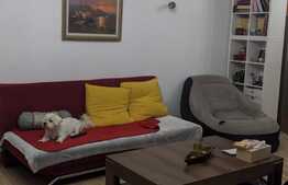 De vanzare casa individuala, 300 mp utili, 550 mp teren, Zona Freidorf