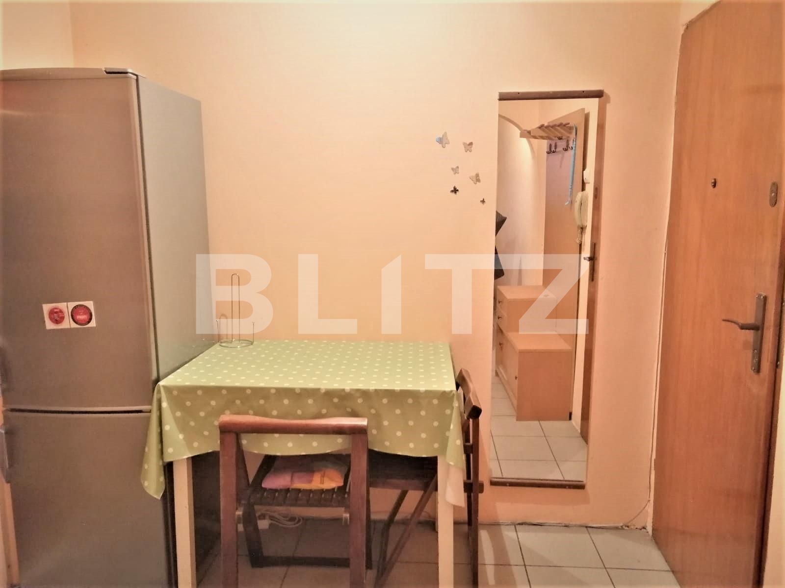 Garsonieră de vânzare Cetatii - 76041AV | BLITZ Timișoara | Poza2