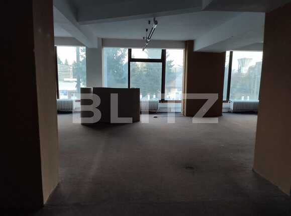 Spațiu comercial de închiriat Aradului - 76046SIC | BLITZ Timișoara | Poza7
