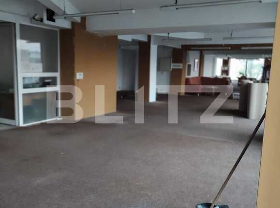 Spațiu comercial de închiriat Aradului - 76046SIC | BLITZ Timișoara | Poza1