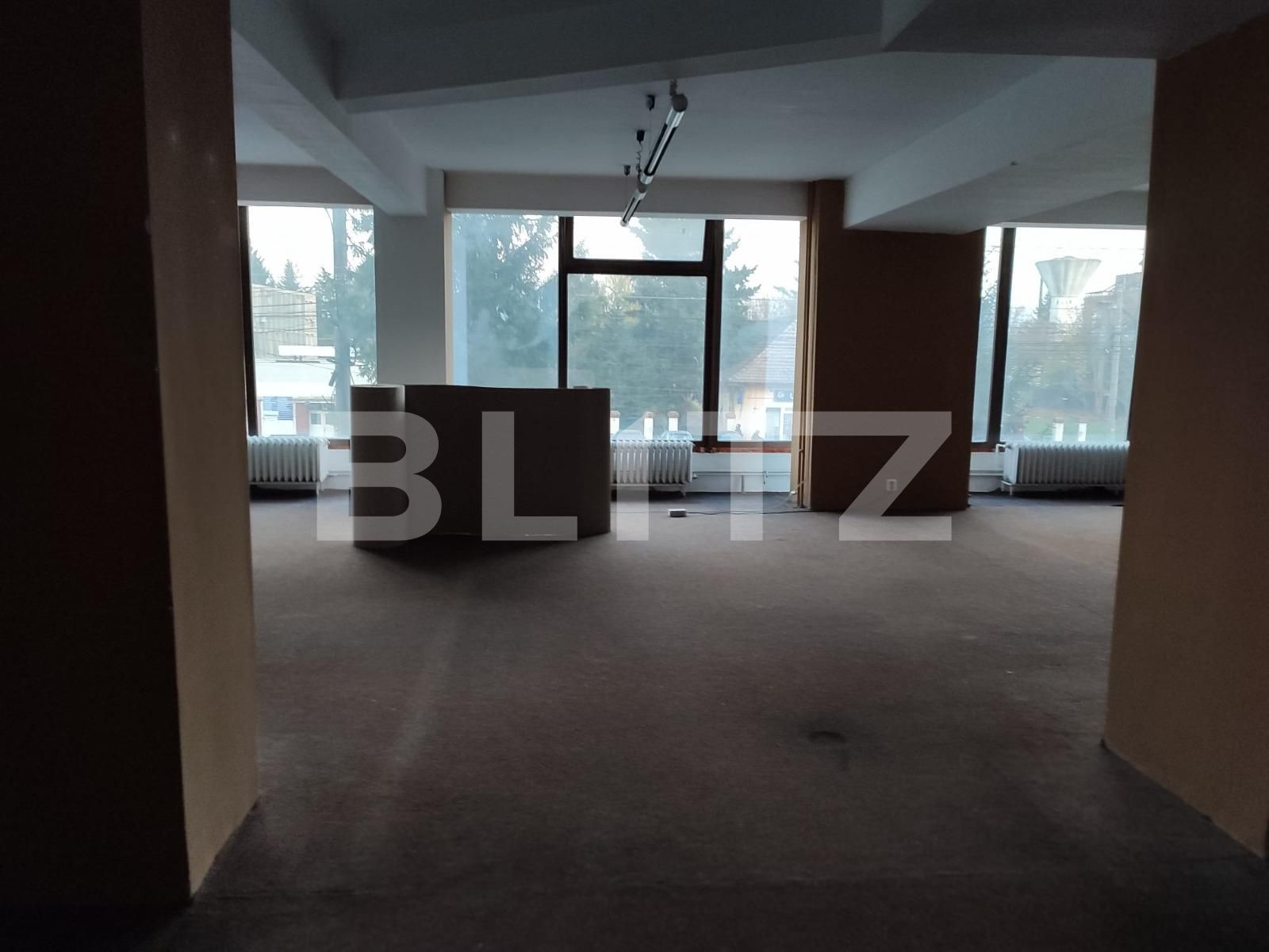 Spațiu comercial de închiriat Aradului - 76046SIC | BLITZ Timișoara | Poza7