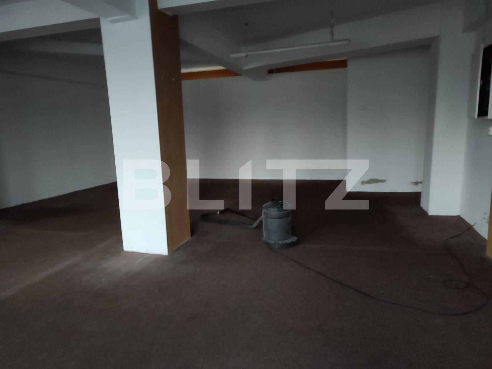 Spațiu comercial de închiriat Aradului - 76046SIC | BLITZ Timișoara | Poza3