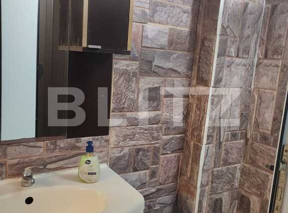 Spațiu comercial de închiriat Aradului - 76050SIC | BLITZ Timișoara | Poza7