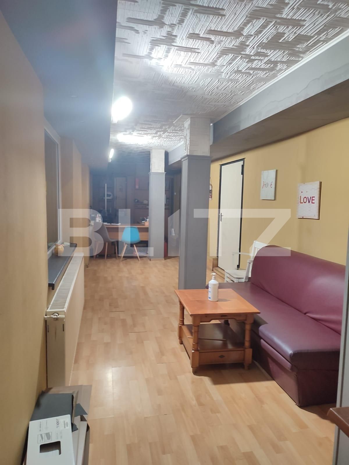 Spațiu comercial de închiriat Aradului - 76050SIC | BLITZ Timișoara | Poza8
